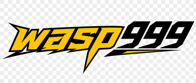 wasp999 โลโก้